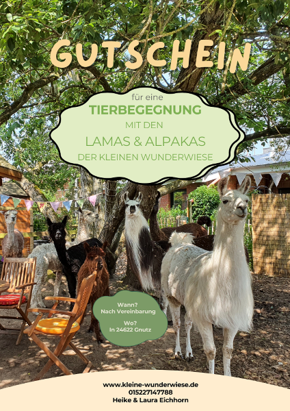 Tierbegegnung mit den Lamas und Alpakas der Kleinen Wunderwiese