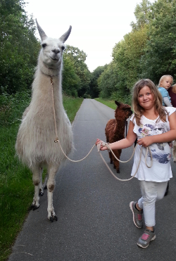 Kind mit Lama unterwegs