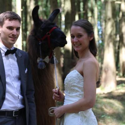 Hochzeit mit Lama Floki von der kleinen Wunderwiese 