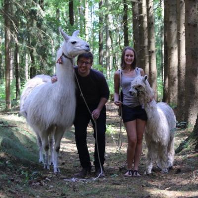 Junge Leute haben Spaß mit Lama und Alpaka im Wald