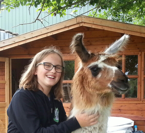Kontaktaufnahme mit Lama